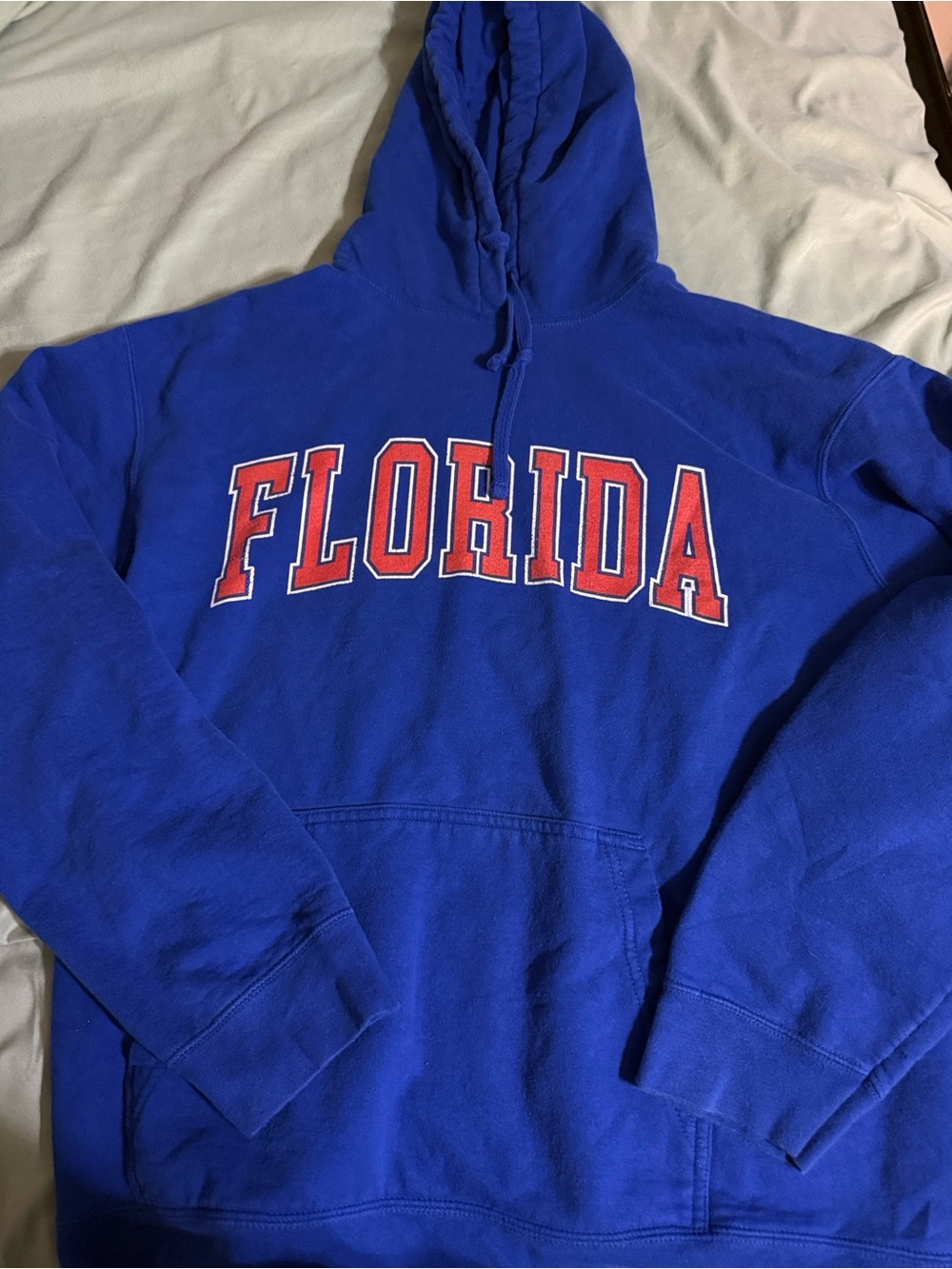 Florida Graphic Hoodie Sweatshirt - Blue